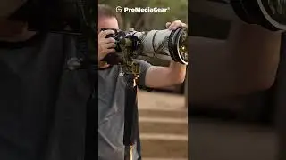 GT2 Tomahawk Professional Gimbal Head