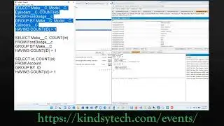 9 - Salesforce Project - Dedup and Data Integrity