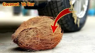 Crushing Crunchy and Soft Things By Car!- Car Vs Coconut