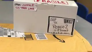 Dinosaurs Project Trailer