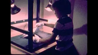 Muirlands Junior High School, La Jolla | Animated Film Class | 1976-77 | Vintage Super 8mm Short