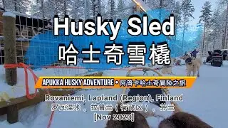 🌏641🌏 [Husky Sled @Apukka Husky Adventure] [哈士奇雪橇 @阿普卡哈士奇冒险之旅]