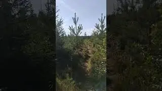 Kusiaism&auml;en takaa l&ouml;ytyv&auml;t polut