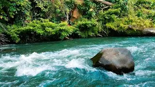 RELAXING RIVER SOUNDS FOR DEEP SLEEP, NATURE SOUNDSCAPE FOR STUDY, SLEEP, CHILL