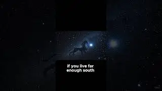 Easy-to-Spot Stars: Procyon &rarr; Regulus &rarr; Canopus &rarr; Orion (Part from 101 Stars) #space #universe