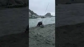 25lb Salmon Hooked and Landed on the Beach in California