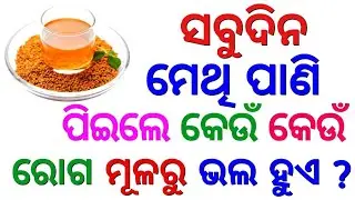 Odia Gk 2024 | general knowledge | odisha gk marathon | odia gk questions and answers | quiz in odia