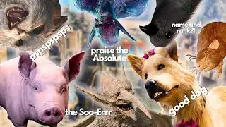 Some animals and magical creatures in Baldur's Gate 3 are just... different