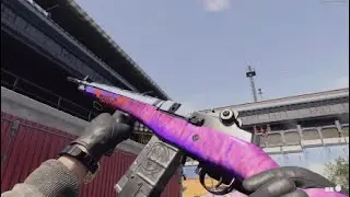 Call of Duty Black Ops Cold War/Warzone DMR 14 Heretic Showcase (All Mastery Camos)
