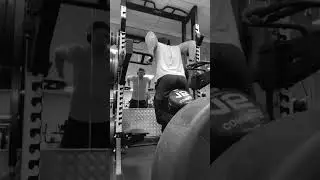 #letsbuild #dips #gym #gymworkout #goals #reels #shorts #shortsfeed #dadbod #menshealth