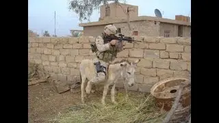 Arma Reforger (xbox series S/X) with PAGEYxBREA