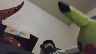 Ep 1 : Pikachu goes to a Diddy party 