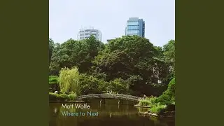 Where to Next