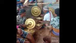 Para ahli pemain gong sumba yang mampu memainkan beberapa irama