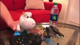 Every time Black Yoshi/Ya Boy Duggie turns into White Yoshi