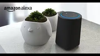 DOSS PowerBox Bluetooth Speaker, Born for Amazon Echo Dot, Portable Wireless Bluetooth 4 0 Speakers