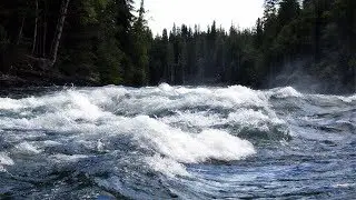 Joan Baez - The River In The Pines  [HD]
