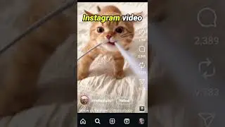 INSTAGRAM REPOSTS how to share someone else's photos videos posts reels to your feed as a repost