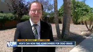 Homeowners who let grass go brown to save water during California drought could face fines