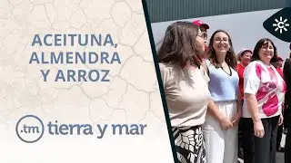 Tierra y mar | Aceituna, almendra y arroz, la esencia de Andalucía con nombre de mujer