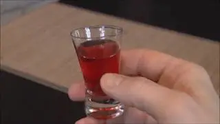 Jak zrobić Śliwk&oacute;wkę - nalewka ze śliwki/śliwek - plum liqueur