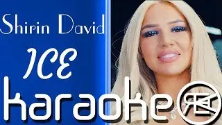 Shirin David - ICE | Karaoke Instrumental mit Lyrics