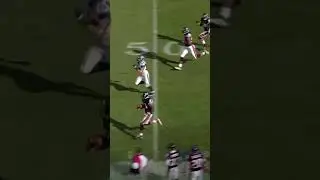 Devin Hester Is A Cheetah #nfl #football