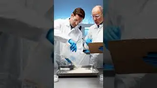 From Rice Fields to the Factory &ndash; The Journey of Transforming Rice into Packaged Grain