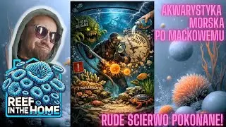 Akwarystyka morska - jak pokonałem Dino - m&oacute;j poradnik dla Ciebie o Dinoflagellates