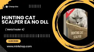 Hunting Cat Scalper EA NO DLL | Installation Instructions