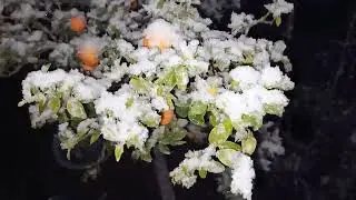 snowfall in Quetta #beautiful snowfall #first snowfall in 2022