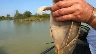 Method Feeder Margin Madness at Todbar manor fisheries 