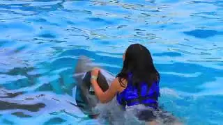 Naomi swim with dolphin 2022