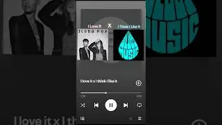 I Loe It xI Think I Like It - Icona Pop x Fake Blood #dj #mashup #remix #edm #musica