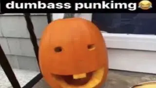 pumpkin level - Verification