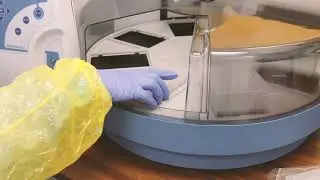 Randox Laboratories - COVID-19 Labs