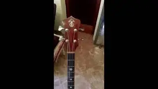 Alembic series 1 ,1980