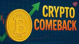 crypto coin 🪙