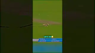 Pitch Invader!🤯