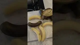 Easy Green Banana Recipie, Samoan Style, Plant Paradox Compliant