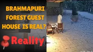 Brahmapuri Forest Guest House Real or Fake | Brahmapuri Tiger Attack is Real? | Video Check |Reality