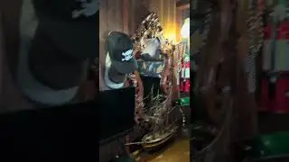Devil&rsquo;s gauntlet pirate ship a real sailing Brigantine 