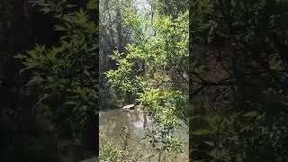 wet beaver creek rimrock arizona