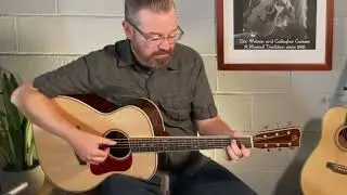 Gallagher Acoustic Guitar - GA70 -Video/Audio demo