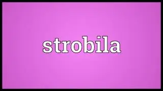 Strobila Meaning