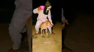 POV: WHEN BOY ATTACK ON GHOST HEAD 😱 | Hanuman | #ghost #bhoot #comedy #hanumanji #trending #shorts