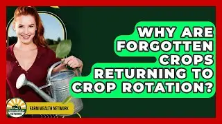 Why Are Forgotten Crops Returning To Crop Rotation? - Farm Wealth Network