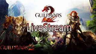 GW2 new player engineer, doing hero points, vistas and waypoints.
