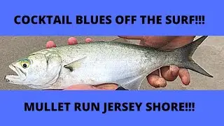 Surf Fishing the Mullet Run for Blue Fish at the Jersey Shore