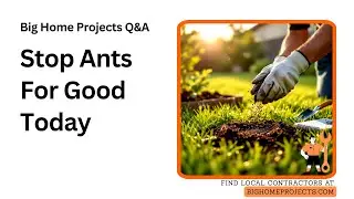 Ant-Bait Transfer Lawn Granule Protocol Guide